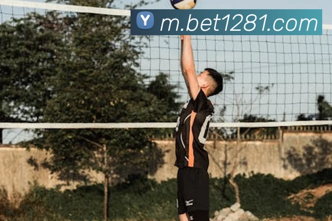 bet365comAPP 封面图